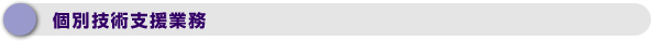 個別技術支援業務
